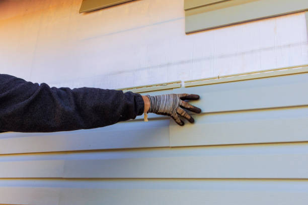 Affordable Siding Repair and Maintenance Services in Salinas, CA